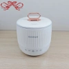 DF99658 small rice cooker, multi-functional electric cooking pot, mini electric hot pot, small 煲仔饭 household all-in-one rice cooker, DF TRADINGHOUSE Specification image